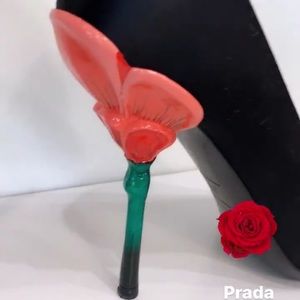 Meet your Posher, Kristi